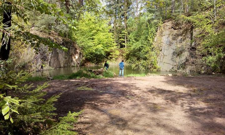 Giegengrüner Waldpension